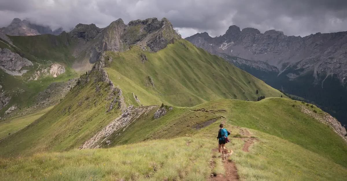 Courir en Altitude : Quoi Savoir Avant de Commencer