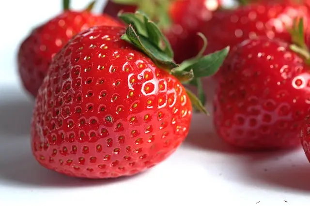 10 Aliments Essentiels pour Optimiser Vos Courses Rapides