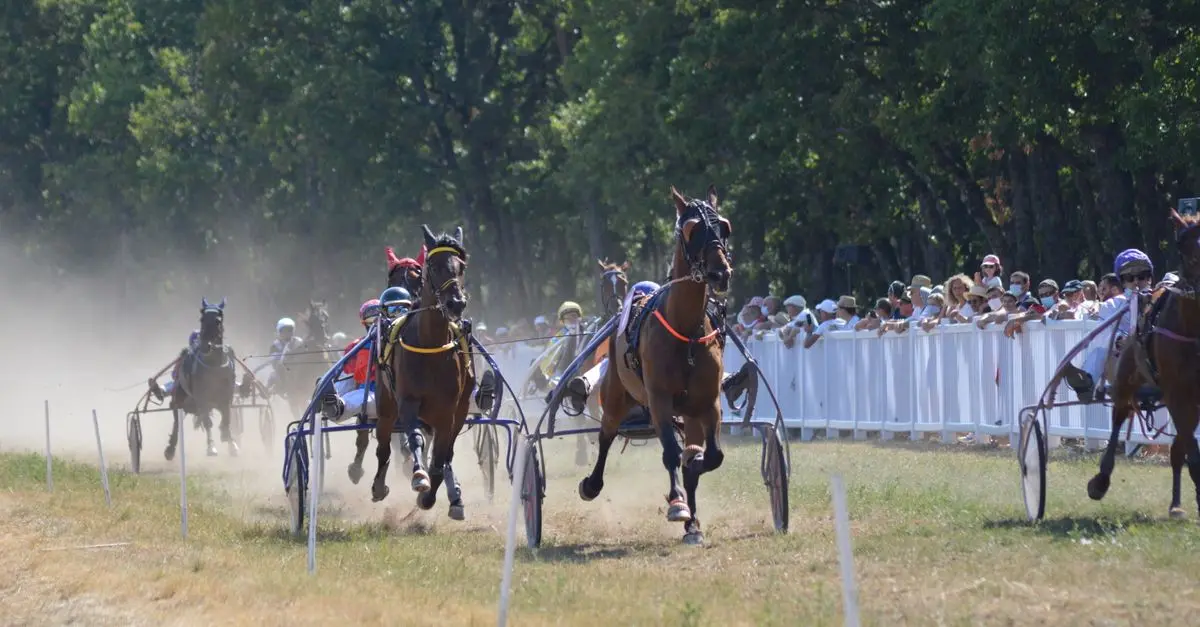 Les Erreurs Qui Freinent Vos Courses Rapides